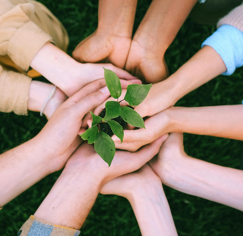 8 Donor and Volunteer Management Software Tools